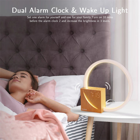 Touch Table Lamp With Natural Sounds, Desk Lamp With Alarm Clock, Touch Control 3 Levels Brightness by Alunorix