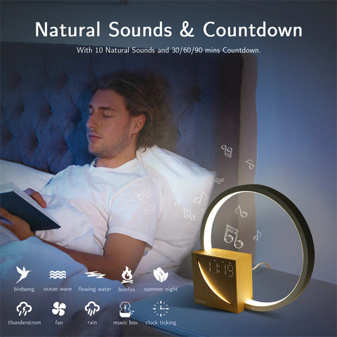 Touch Table Lamp With Natural Sounds, Desk Lamp With Alarm Clock, Touch Control 3 Levels Brightness by Alunorix